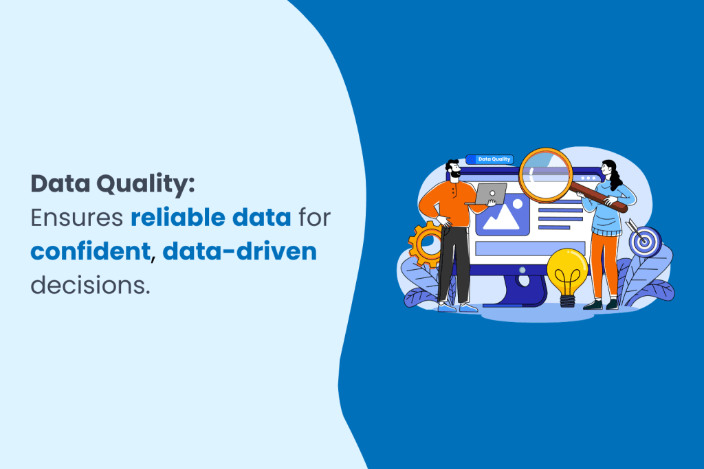 Data Quality